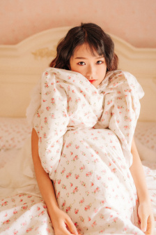 电影女房客